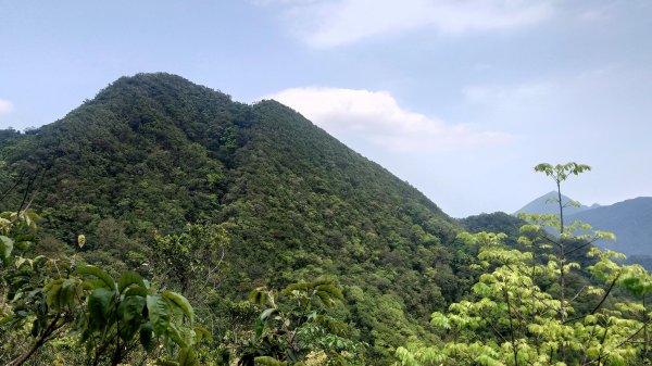 清幽的古道與舊日採礦遺址巡禮瑞芳蛇形子古道登烏塗窟山與獅子嘴奇岩O形2756641