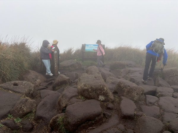 台北 北投 七星山主東峰苗圃線3004623