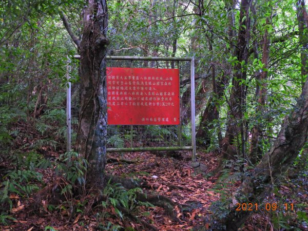 桃園 復興 志繼山、東眼山、拉卡山、卡外山1457352