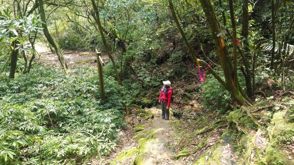 清幽的古道與舊日採礦遺址巡禮瑞芳蛇形子古道登烏塗窟山與獅子嘴奇岩O形2756638