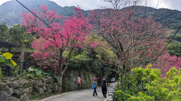 天元宮,楓樹湖,北新庄,淡水老街2430296