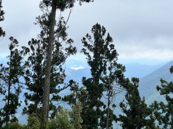 西巒大山巒安堂雙龍進出2212084