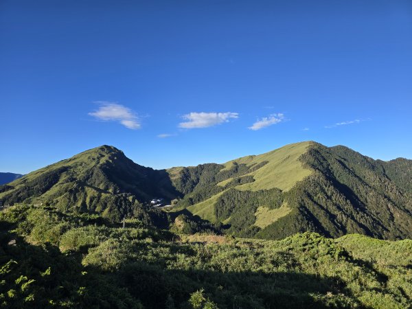 20250824 石門山+石門山北峰+哈哈山+哈哈山南峰2919445