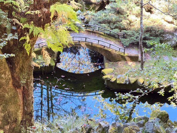 漫遊大雪山森林 訪尋雪山大小神木 快閃天池2922768