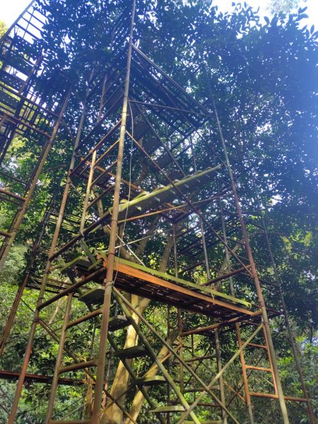 多納六秀 京大山2957521