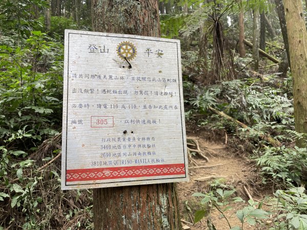 原始密林-向天湖山與光天高山11103151643749