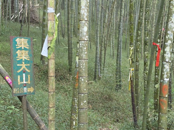 小百岳No.50⛰集集大山3120458