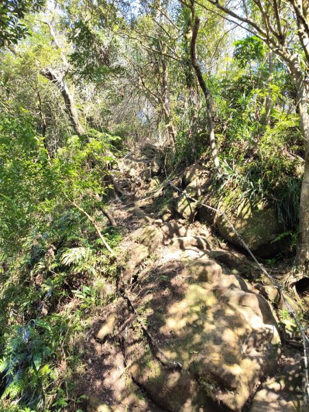 微笑山線：【二格山系】筆架連峰段2963190