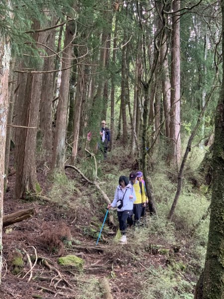 20250517義義兒玉山-東水山2791656