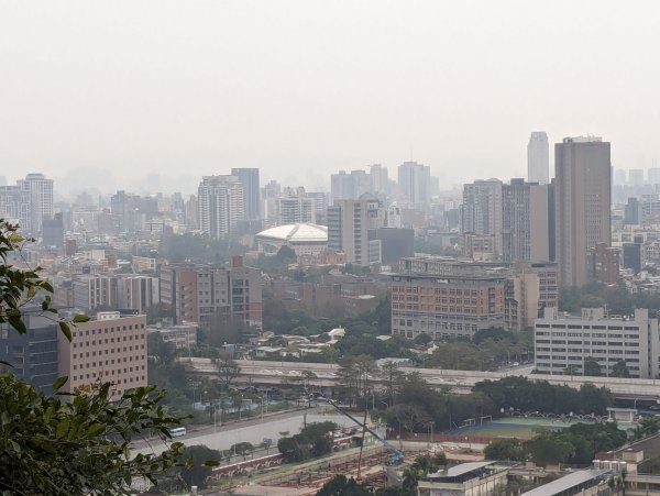 2024-01-28 福州山公園2793295