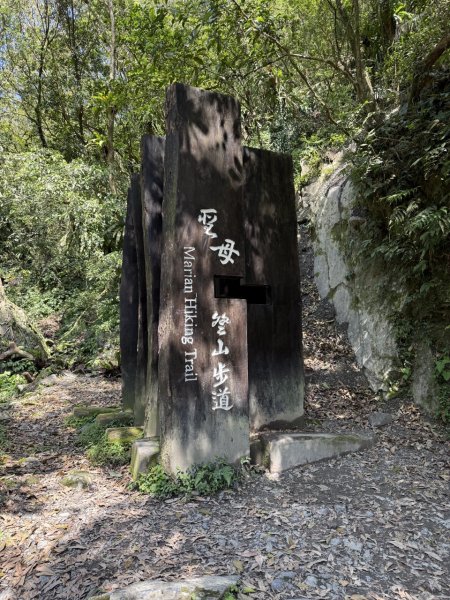 2025/03/21 聖母山莊 抹茶山 三角崙山2935091