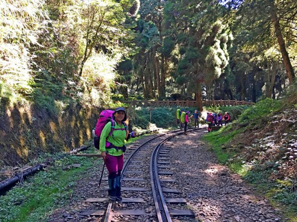 再訪眠月線 2019/11/23-24753023