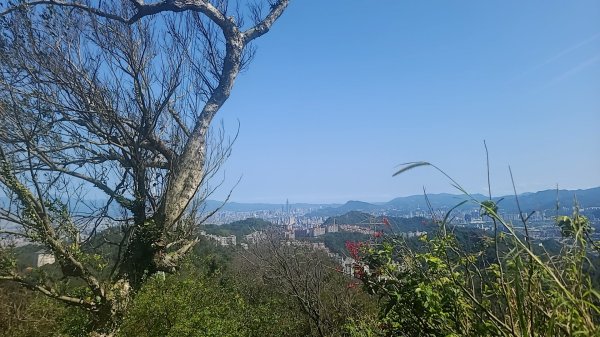 2025-0211造鎮_太極嶺_五城山小段攀爬路線2710724