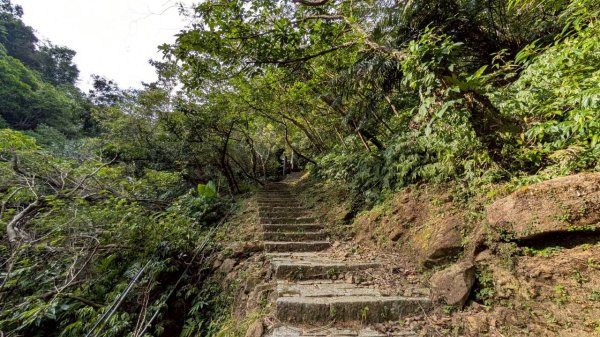 114.10.11石荀尖之旅2912045