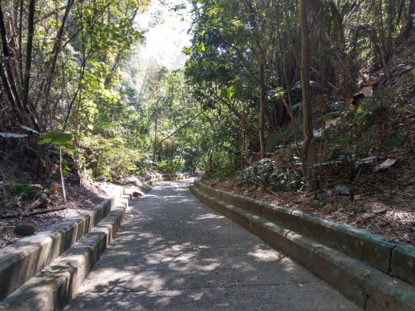 松柏坑山(小百岳#51) 二水車站、登廟步道、松柏嶺受天宮、坑內坑步道 (2021/1/15)1423748