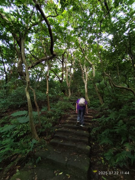 天母古道、西門町、艋舺青山宮、剝皮寮、龍山寺2844585