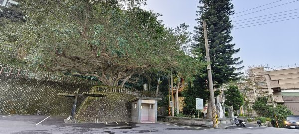2024/12/28-蓮華山古道群：飛龍步道、進香古道、採茶古道、載熙古道2678881