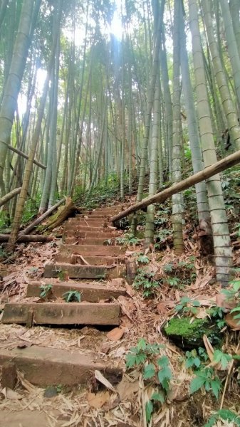 瑞太古道/奮瑞古道/雲仔山/糕仔崁古道/奮起湖 縱走1639094