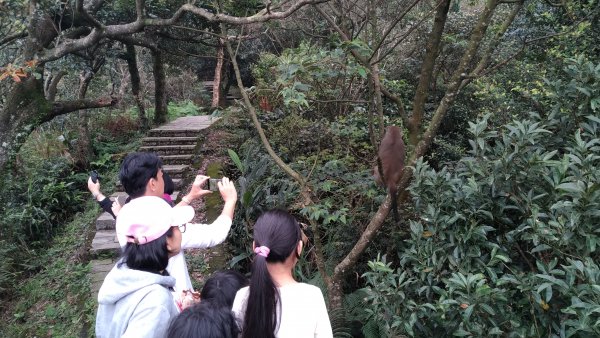2020.2.28大尖山步道之旅1411194