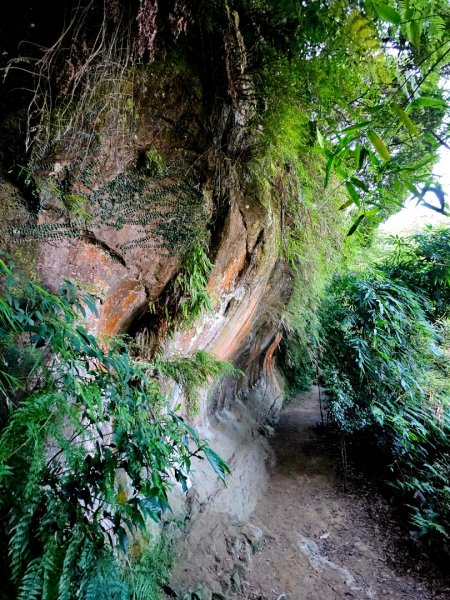 (鳶山山系)鳶山彩壁-2025微笑山線大縱走尋寶集章任務2855204