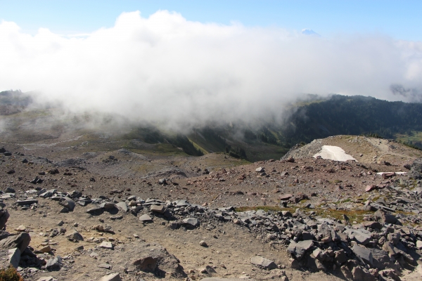 201508美國西部行1雷尼爾山84541