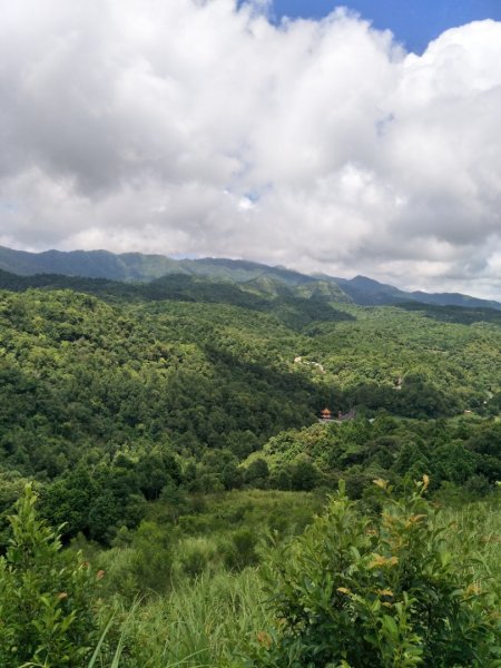 鵲子山步道1791368