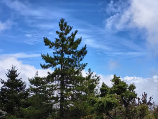 北一段(10/14)馬比杉山 2025_0906~132887136