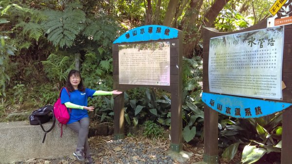 【臺北親山拓印趣】天母山天母古道白雲瀑布918679