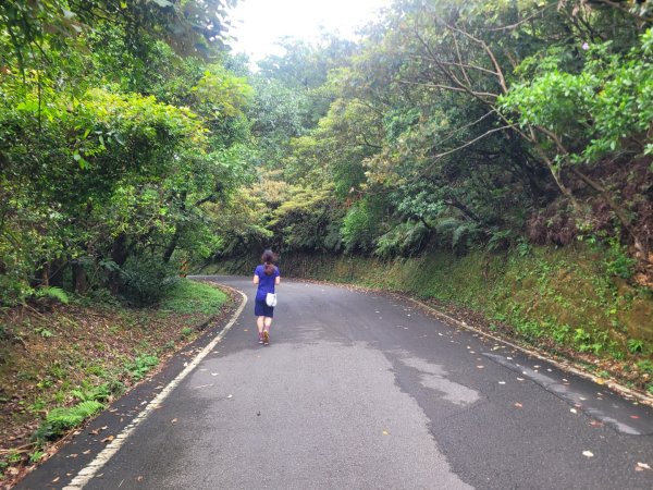 20230902 基隆小百岳 大武崙山 槓子寮山 紅淡山 姜子寮山2270760