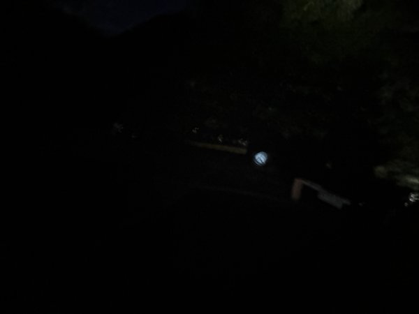 1141108-09桃山單攻2935958