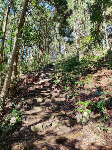 大雪山長壽三崠2691105