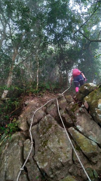 小百岳【三腳南山】915742