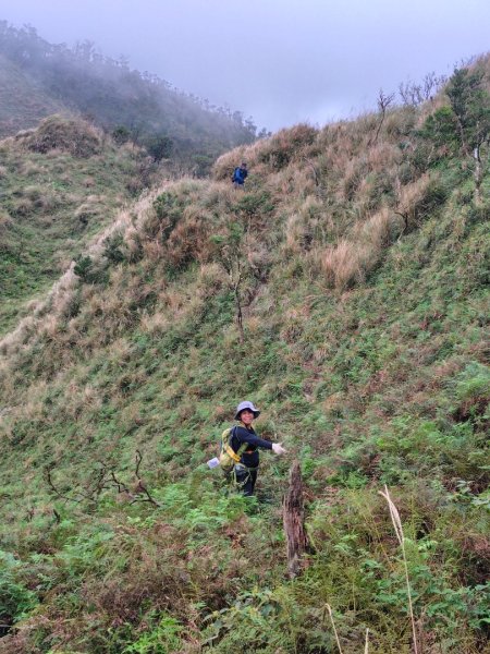 渭水之丘 烘爐地山 抹茶山 三角崙山2938761