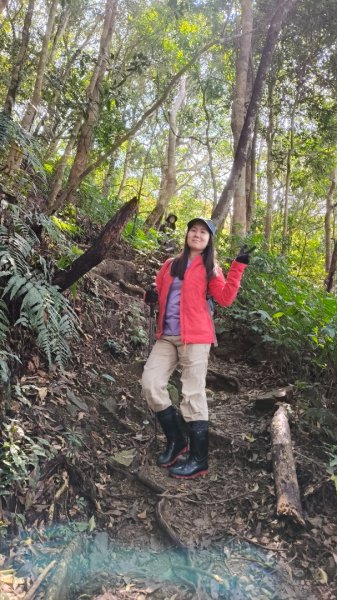 油羅山202503092731881