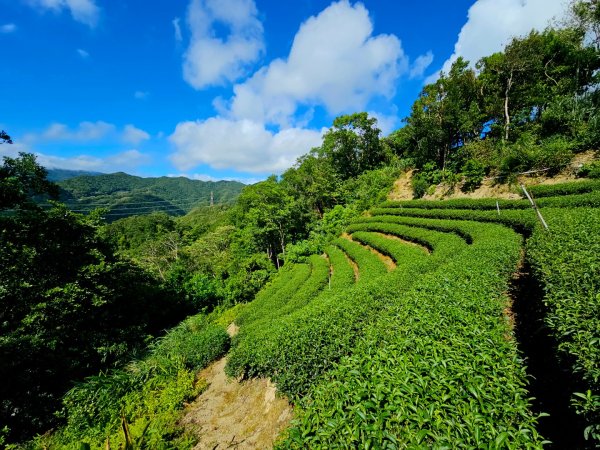 淡蘭南路第四段：𩻸魚堀溪自行車道至縣界公園2873640
