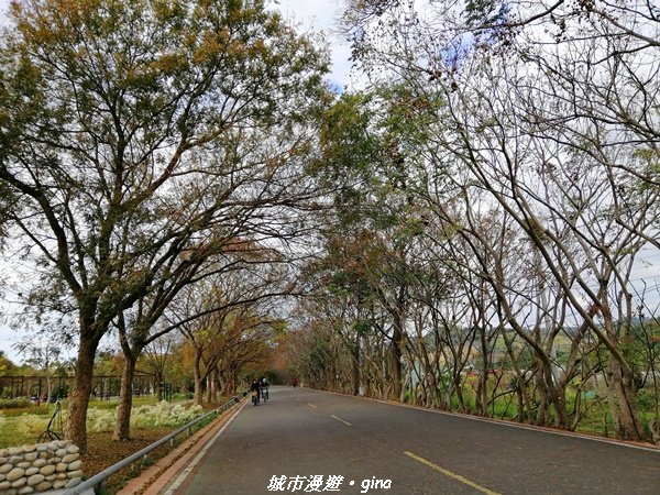 【台中。東勢】鄉村風情。 小中嵙登山步道1243181