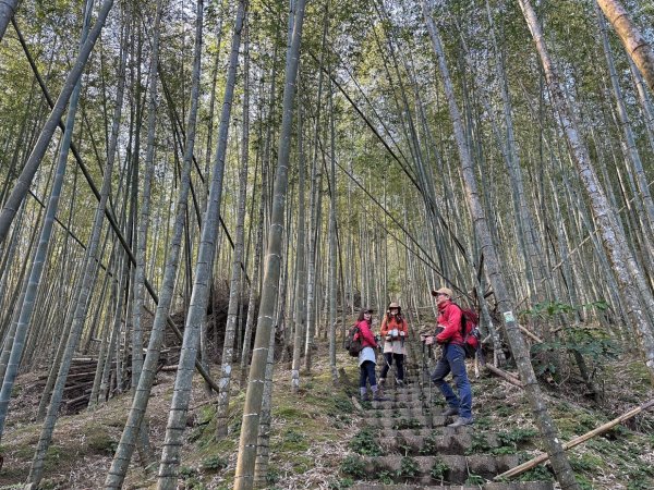 溪頭六連峰O繞2741741