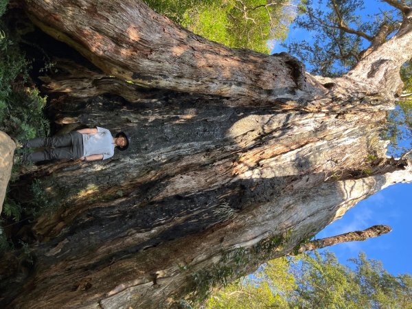 20221112_北得拉曼山2762271