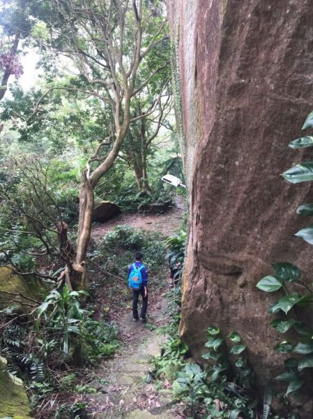 象山北星寶宮步道386521