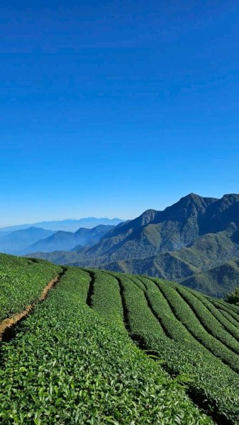 20251117樟空崙步道挑竹古道3號 六連峰O繞