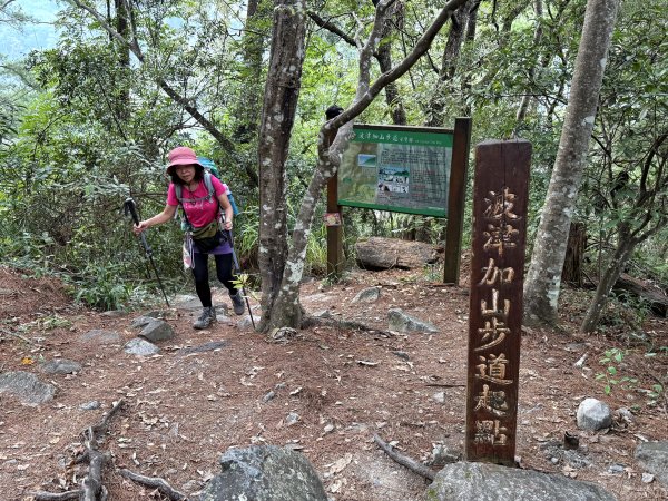 波津加山 202509142893396