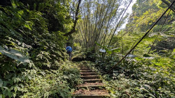 115.04.12金平山西峰-蝙蝠洞之旅3034706