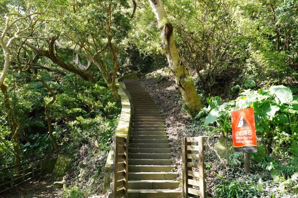 新北 八里 觀音山、牛港稜山2681365