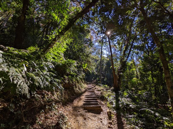 馬那邦山細道邦山1548145