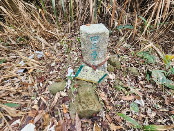 20260224雞隆山、八角林山、上果作園山3023629