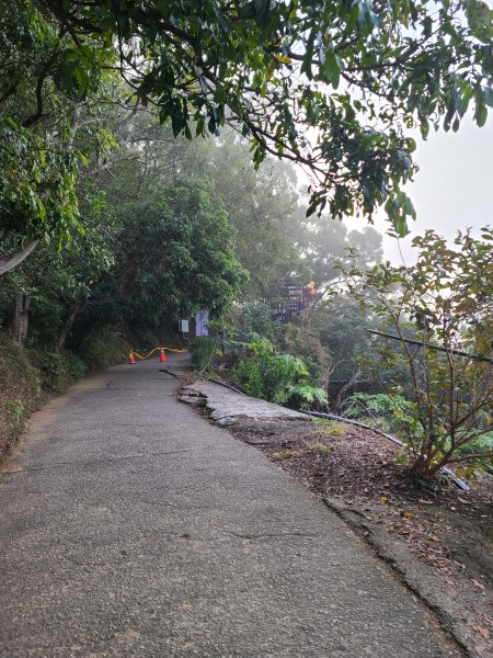 大坑10號提前修好啦(10號上+6號+7號下)2753647