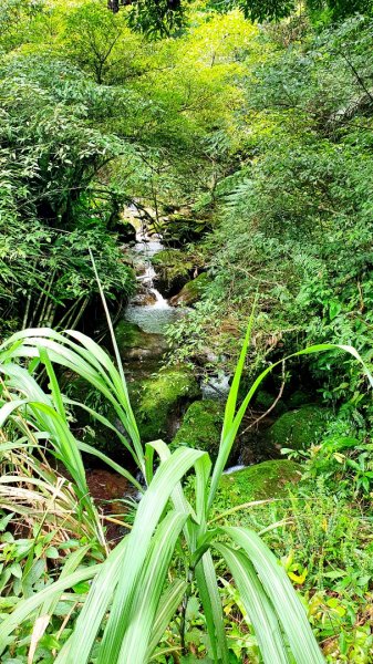 大砲岩，石壇山，大屯溪古道，三板橋，白雞山，雞罩山，石門內尖山，中和外員山，中坑山東北峰1738128