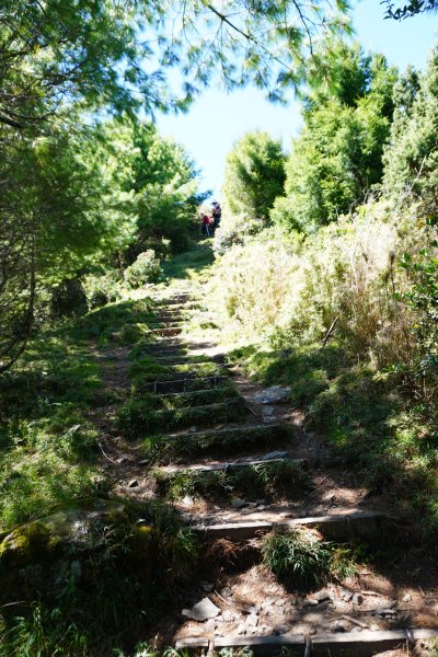 麟趾山一日遊3010198