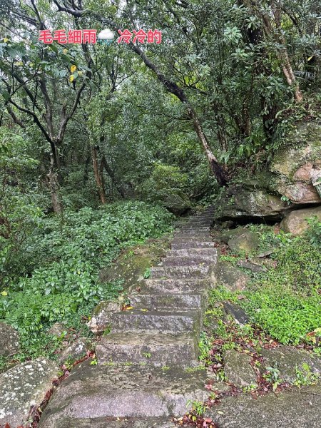 台北大縱走4