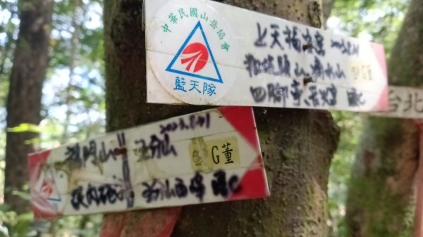 平溪區上天福安宮-粗坑頭崙-五分山西峰-五分山步道去回3088414